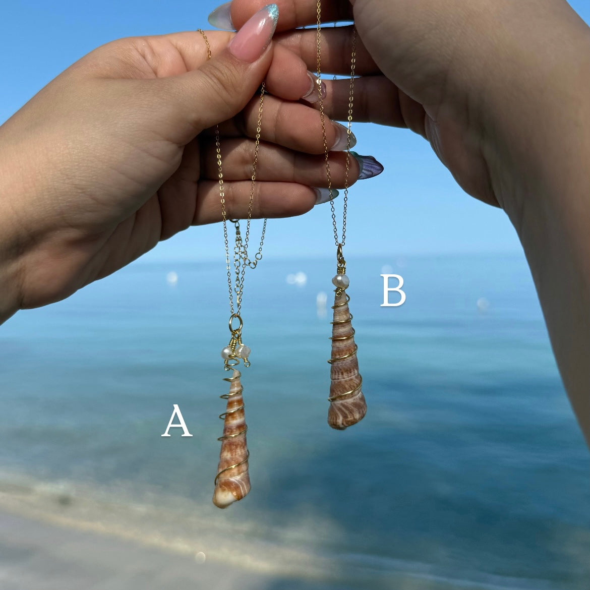 Turritella Shell Gold Necklace