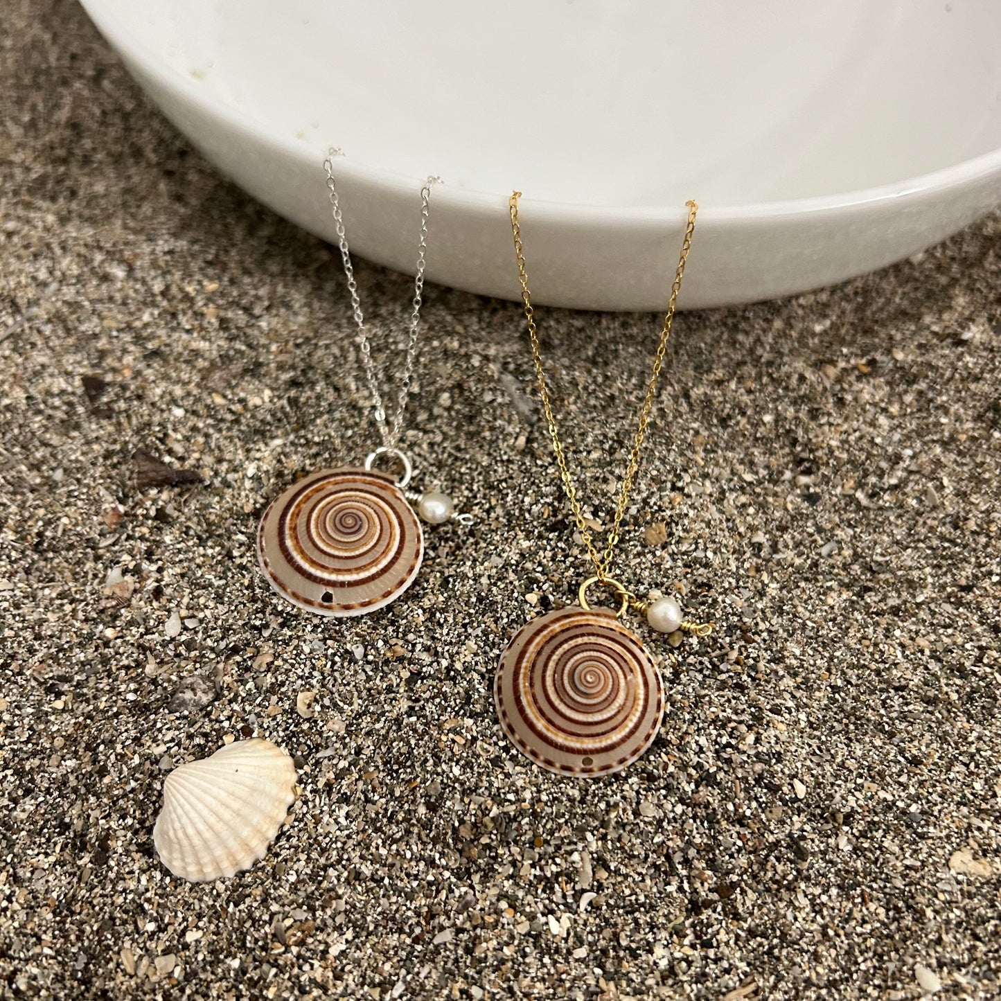 Sundial Shell Necklace