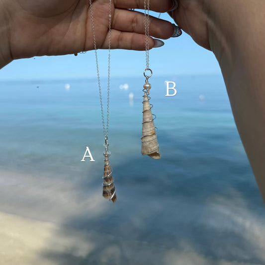 Turritella Shell Silver Necklace