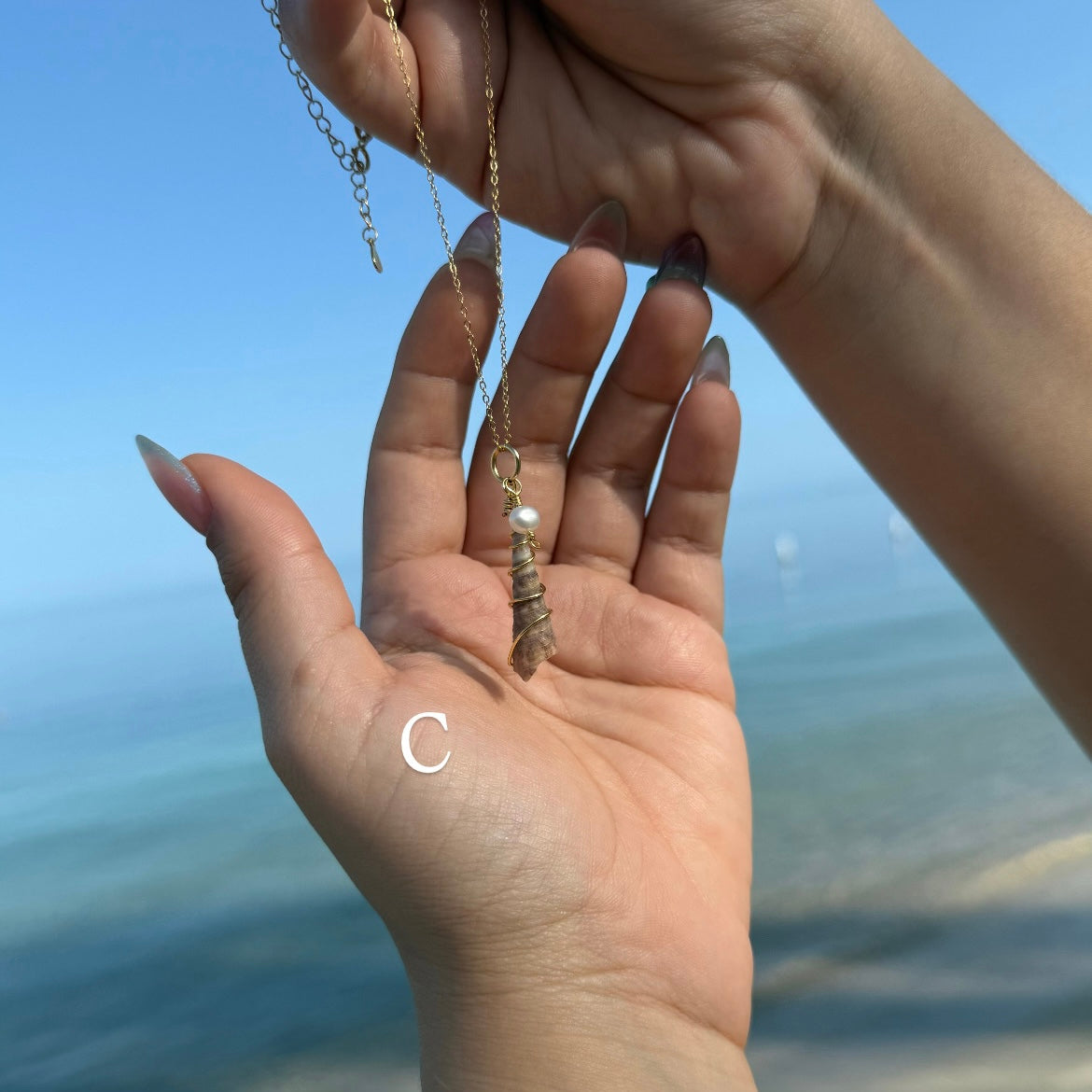 Turritella Shell Gold Necklace