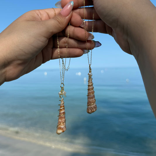 Turritella Shell Gold Necklace